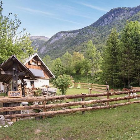 Lizina Hiska House Bohinj Villa Bohinjska Bistrica Dış mekan fotoğraf