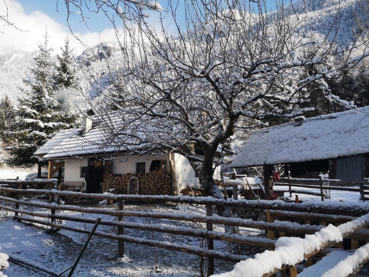 Lizina Hiska House Bohinj Villa Bohinjska Bistrica Dış mekan fotoğraf