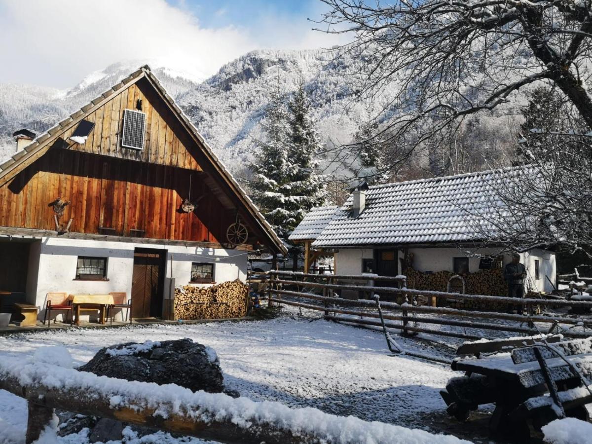 Lizina Hiska House Bohinj Villa Bohinjska Bistrica Dış mekan fotoğraf