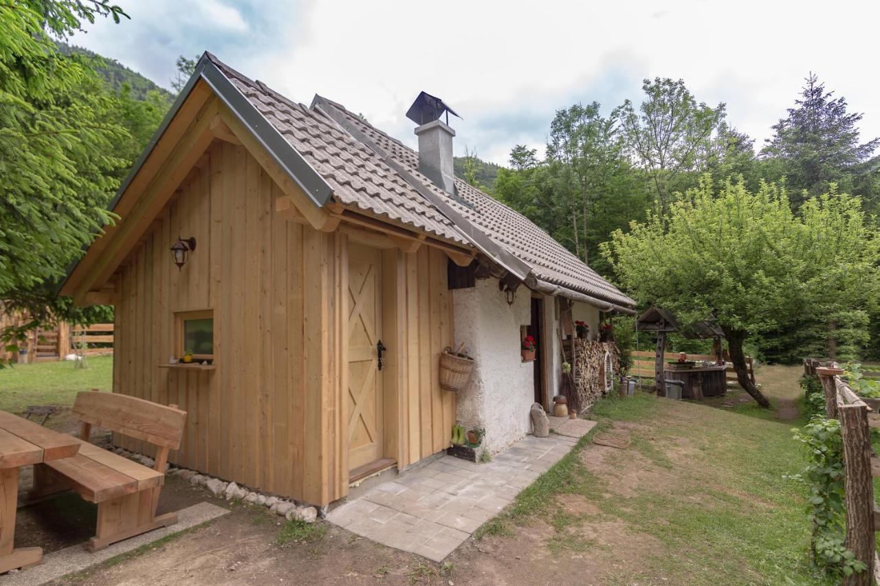 Lizina Hiska House Bohinj Villa Bohinjska Bistrica Dış mekan fotoğraf